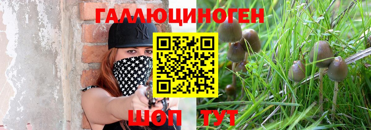 Псилоцибиновые грибы MAGIC MUSHROOMS Муром