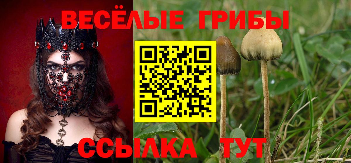 Галлюциногенные грибы ЛСД  Галлюциногенные грибы мицелий  Вход с VPN  Муром 